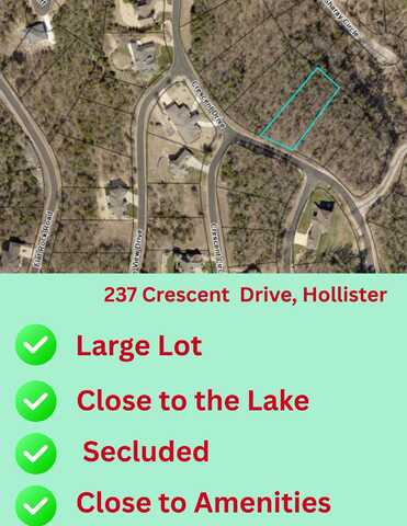 237 Crescent Drive, Hollister, MO 65672
