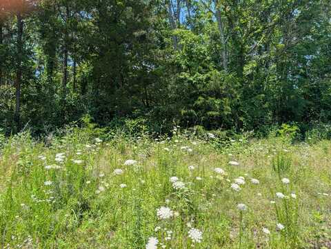 Lot 140 Farm Road 1255, Shell Knob, MO 65747