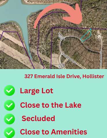 197 Emerald Isle Drive, Hollister, MO 65672