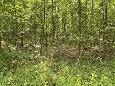 Lots 7 & 8 County Road 206, Alton, MO 65606