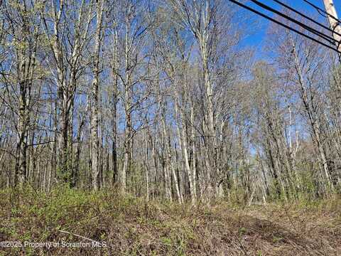 Lot7 DAMIANO Drive, Covington, PA 18424