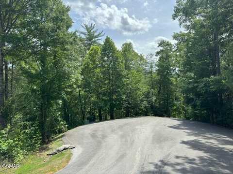Lot 18 Turkey Creek Way, Sevierville, TN 37862