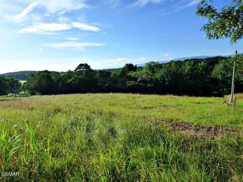 Lot 13f Sunnydale Circle, Dandridge, TN 37725