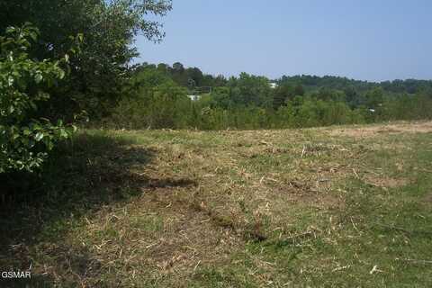 Blue Herring Way lot: 79, Sevierville, TN 37876