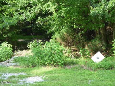Lot 6 Cove Springs Drive, Dandridge, TN 37725