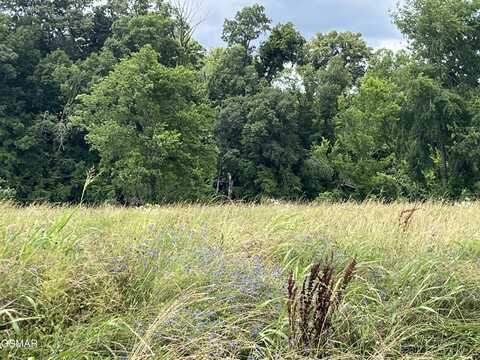 39 Lot Tributary Drive, Sevierville, TN 37876