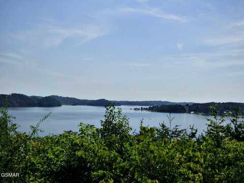 Lot 32 Tranquility Trail, Dandridge, TN 37725