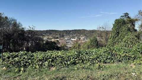 Lot 25 Chapman View Divide, Seymour, TN 37865