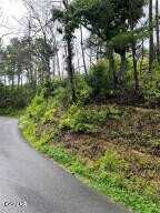 Lot 0000 Indigo Lane, Sevierville, TN 37862