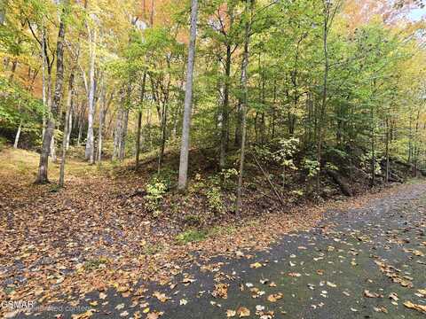 15 Sonshine Ridge Road, Cosby, TN 37722