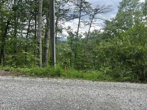 Lot 5a-2 Emerald Way, Sevierville, TN 37876