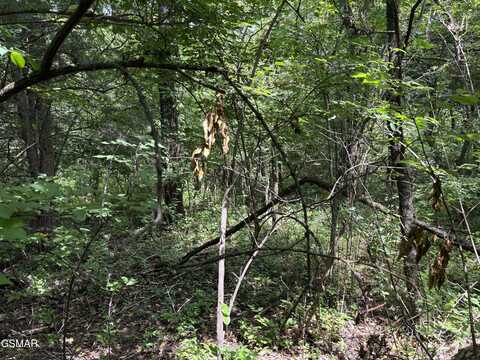 Lot 8 Red Bud Road, Newport, TN 37821
