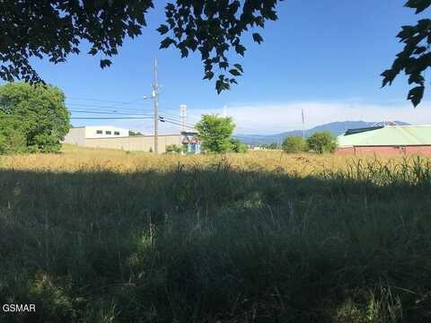 2510 Teaster Lane, Pigeon Forge, TN 37863