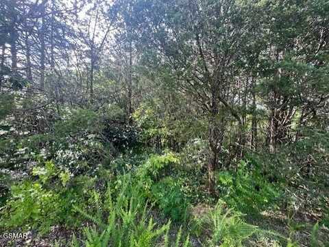 Lot 30 DRIDFTWOOD CIRCLE, Sevierville, TN 37876
