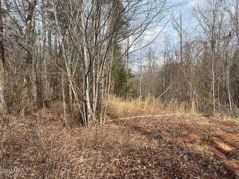 Lot 30 Blue Springs Way, Newport, TN 37821