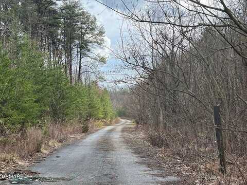 Lot 29 Blue Springs Way, Newport, TN 37821