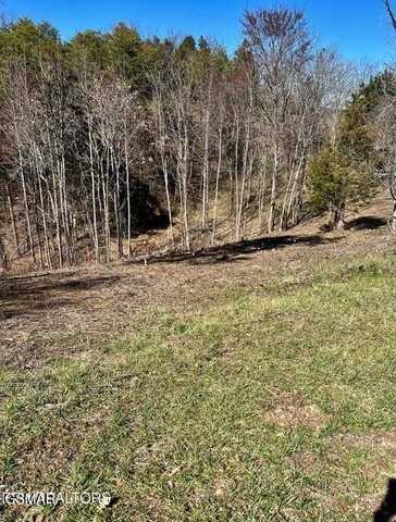 Lot 1a 2009 Scott Street, Sevierville, TN 37876
