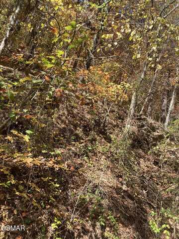 Lot 2 Meadow View Road, Sevierville, TN 37862
