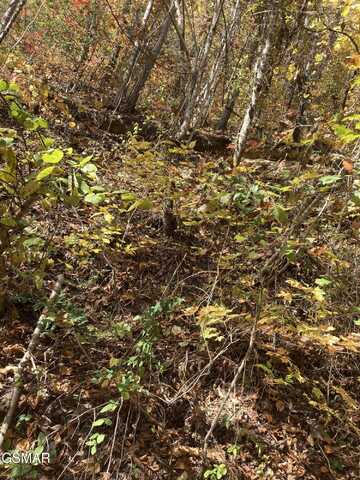 Lot 3 Sec Meadow View Road, Sevierville, TN 37862