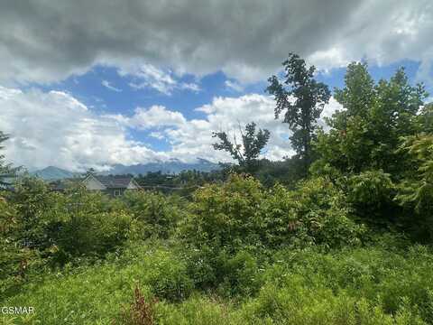 909 N Woodland Drive, Gatlinburg, TN 37738