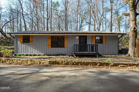519 McMahan Road, Pigeon Forge, TN 37863