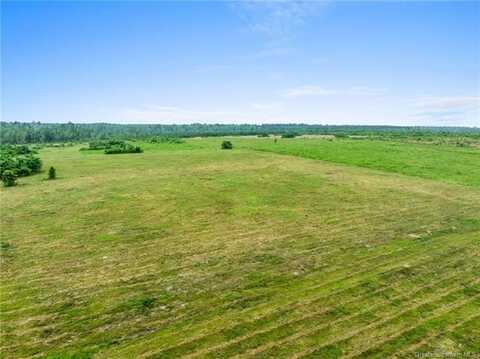 0 Whittington Road Tract 1, Longville, LA 70652