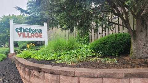 96 Chelsea Way, Bridgewater, NJ 08807