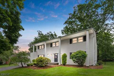 17 Friar Rd, Whippany, NJ 07950