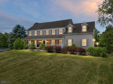 1 Cheshire Ct, Clinton, NJ 08833
