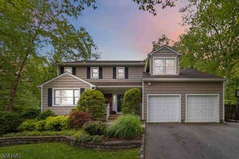 1 Deborah Dr, Morris, NJ 07960