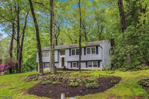 38 Nestlingwood Dr, Washington, NJ 07853