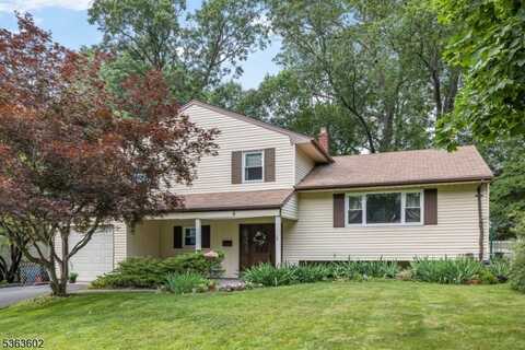 8 Berkeley Ter, Livingston, NJ 07039