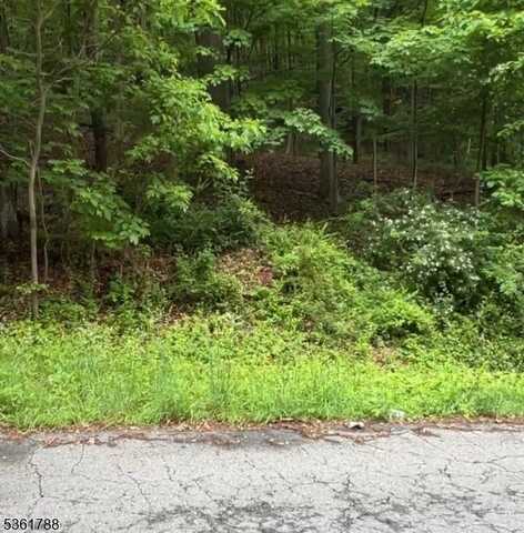 34 Ryan Rd, Independence Corner, NJ 07840
