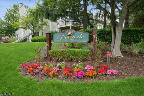 4 Ray Court, Bedminster, NJ 07921