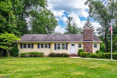 38 Longview Dr, Hanover Twp., NJ 07981