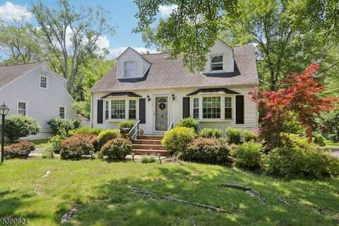 29 Union Ave, New Providence, NJ 07974