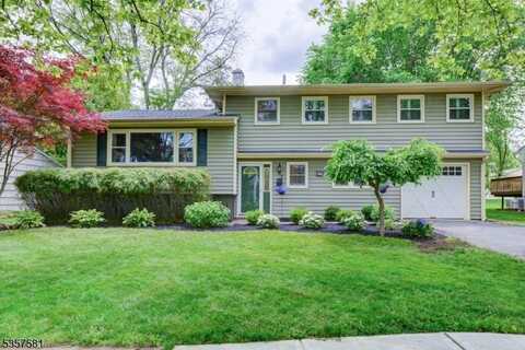 29 Cottage Ln, Springfield, NJ 07081