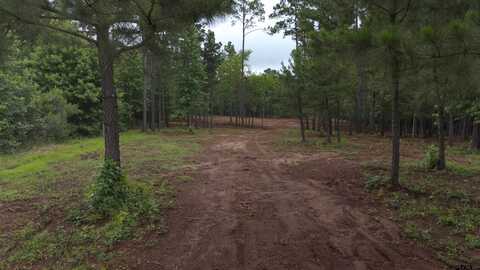 11295 Moser Ln, Whitehouse, TX 75791