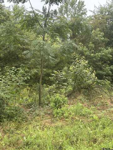 TBD Hwy 11, Pittsburg, TX 75686