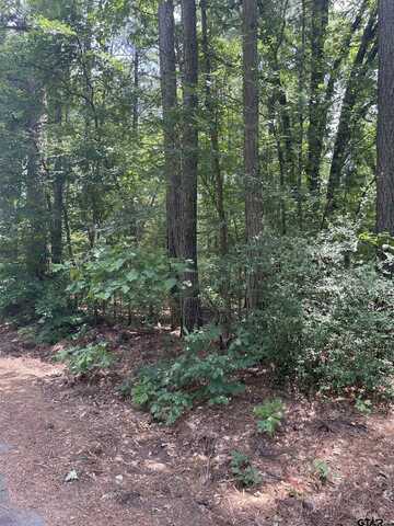 TBD Geranium Rd, Ore City, TX 75683