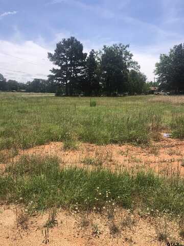TBD Meadow Lane, Naples, TX 75568