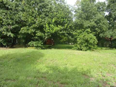 187 Holly Lane, Murchison, TX 75778