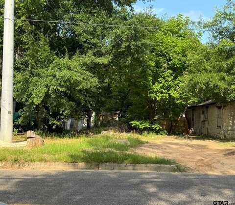 1513 N Palace Ave, Tyler, TX 75702