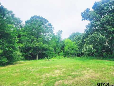 22473 Farm to Market 2208, Harleton, TX 75651