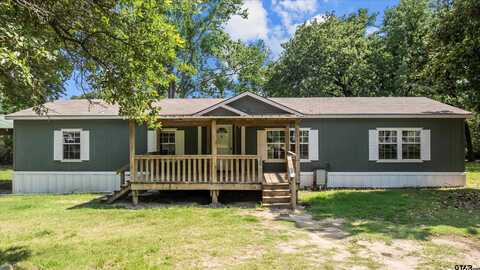 149 VZ County Road 4409, Ben Wheeler, TX 75754