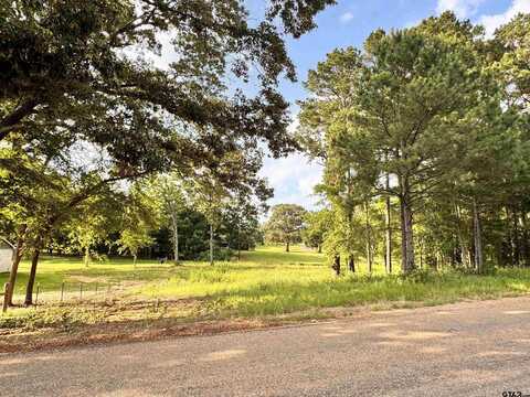 6671 County Road 118, Bullard, TX 75757