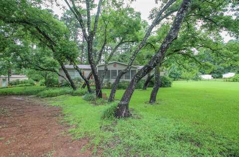 2678 Oak Trail Shores Dr, Chandler, TX 75758