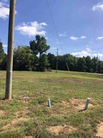 TBD Meadow Lane, Naples, TX 75568