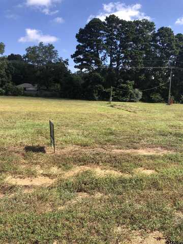 TBD Meadow Lane, Naples, TX 75568