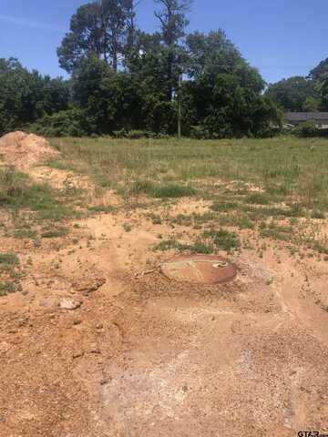 TBD Meadow Lane, Naples, TX 75568